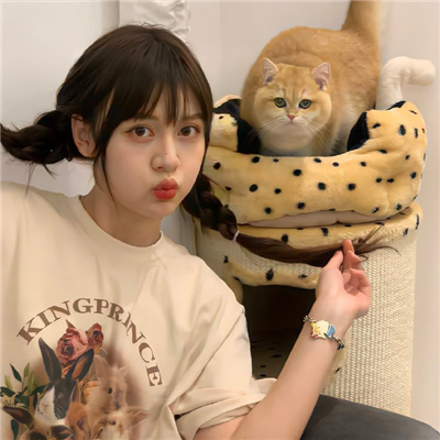 文山伴游女生星晓莉的资料